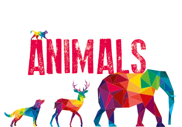 Animals - Malabella
